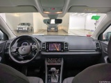  Skoda  Karoq  Business 2.0 TDI 115CV BVA7 E6d #5