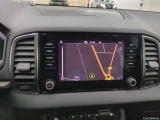  Skoda  Karoq  Business 2.0 TDI 115CV BVA7 E6d #12