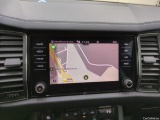  Skoda  Kodiaq  Business 2.0 TDI 150CV BVA7 E6d #11