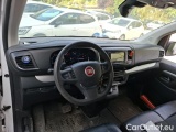 Scudo