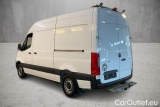 Sprinter